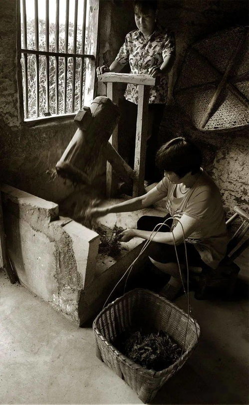 桑皮紙制作技藝