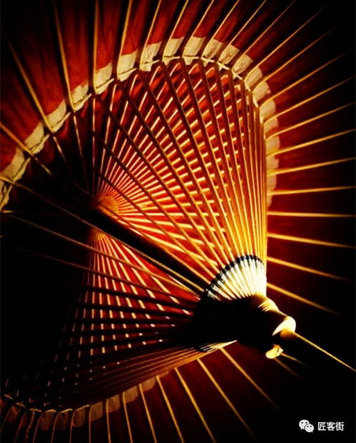 油紙傘 盛開在雨中的花