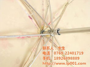 雨傘訂制全自動(dòng) 春雷禮品團(tuán)購 精品雨傘訂制全自動(dòng)