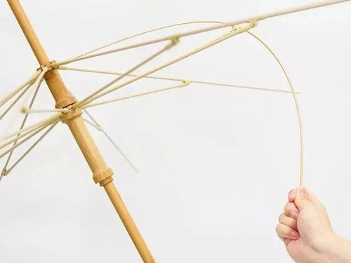 傘太美,盼著下雨