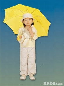 專業制作各類沙灘傘 睛雨傘 兒童傘