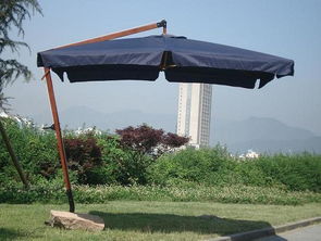 龍泉市誠信旅游用品廠 庭園傘高清圖片展示