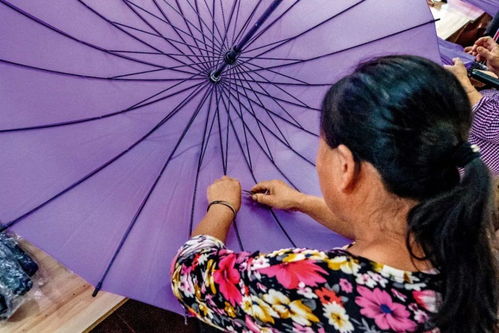 鳳凰花開幸福來 她們用雙手編織傘下晴空